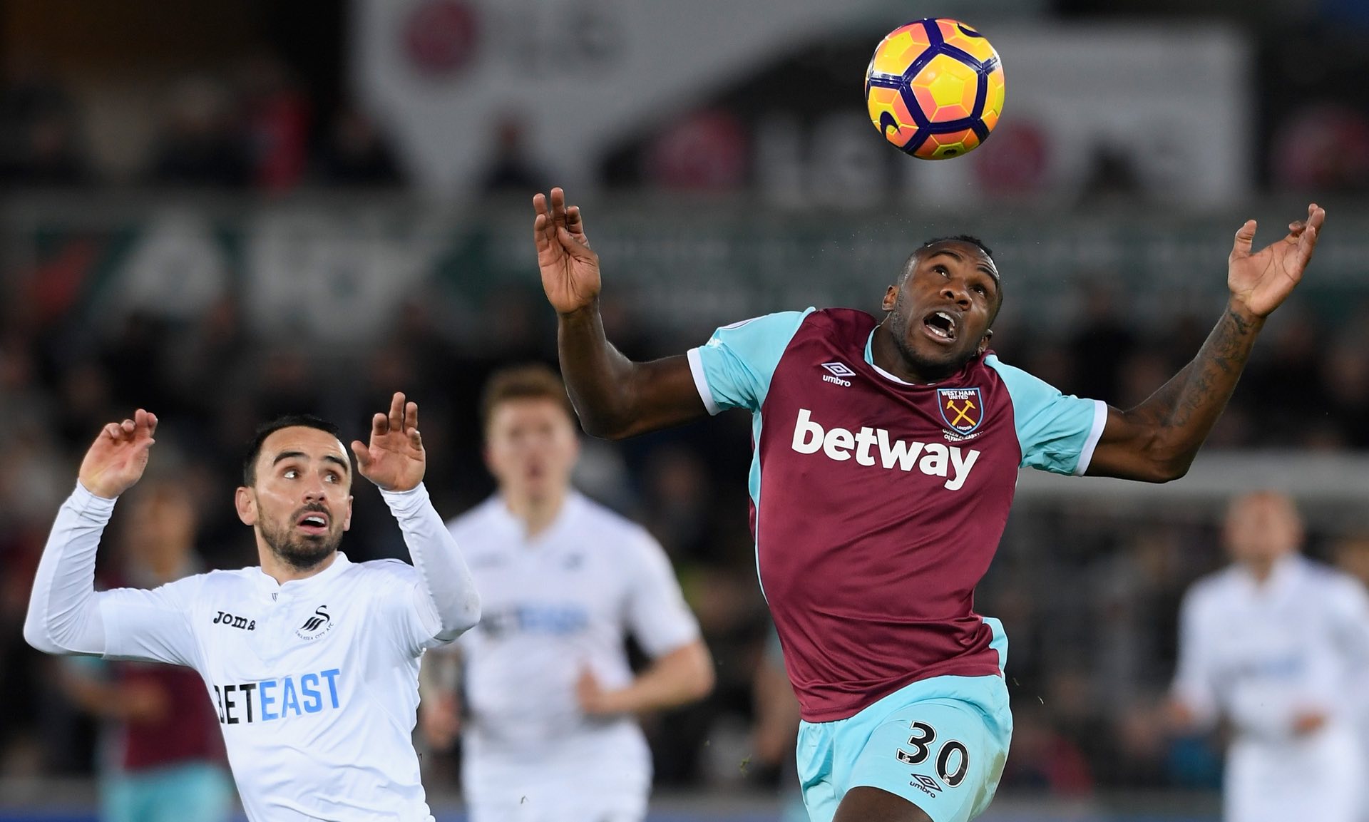 纳姆热刺体 纳姆热刺体